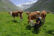 Kathrin Hanser und einige der K&uuml;he, mit denen sie den Sommer auf der Alm hoch &uuml;ber dem Zillertal verbringt