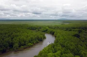 Der Kolcheti-Nationalpark erstreckt sich &uuml;ber 30.000 Hektar. Die H&auml;lfte davon sind Feuchtgebiete.