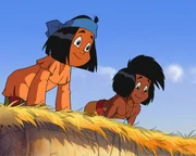 Yakari und Kleiner Dachs schauen ins Tal.