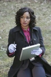 Eine junge Frau wird im Morgengrauen tot auf einem Spielplatz gefunden, halbnackt und gefesselt an einem Kletterger&uuml;st. Anfangs vermutet Lanie Parish (Tamala Jones) einen Sado-Maso-Hintergrund. Wird sich diese Vermutung best&auml;tigen?