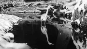 Im flachen Wasser l&auml;sst es sich besonders einfach jagen.