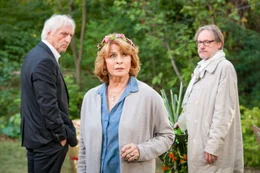 L-R: Peter (G&uuml;nther Maria Halmer), Betty (Senta Berger), Leo (Michael Wittenborn).