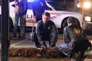 Jack Hodgins(T.J. Thyne, l.); Camille Saroyan (Tamara Taylor, r.)