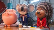 Ein lustiges Trio, v.li.: Schwein Gunter, Buster Moon, Igel Ash