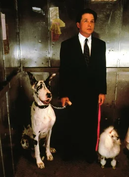 Doug Ireland (Michael J. Fox) sorgt als Concierge des Luxushotels "Bradbury" daf&uuml;r, dass die W&uuml;nsche der G&auml;ste erf&uuml;llt werden - so exzentrisch sie auch sein m&ouml;gen. So f&uuml;hrt er zum Beispiel auch die Hunde hochkar&auml;tiger Mafiosi aus.