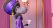 "Sing", Der Koala Buster Moon ist verzweifelt. Sein traditionelles Theater steht vor dem Bankrott. Um das bauf&auml;llige Haus zu retten, veranstaltet er eine Casting-Show. &Uuml;berraschenderweise hat die Aktion &uuml;berw&auml;ltigenden Zulauf. Sangesfreudige Tiere aller Arten st&uuml;rmen die B&uuml;hne, um das ausgeschriebene Preisgeld zu gewinnen. Buster hat keine Ahnung, dass sich seine schrullige Sekret&auml;rin bei dem Flugblatt vertippt hat, und nun 100.000 statt 1.000 Dollar f&uuml;r den Sieg erwartet werden.  SENDUNG: ORF eins - DO - 26.12.2019 - 18:05 UHR. - Veroeffentlichung fuer Pressezwecke honorarfrei ausschliesslich im Zusammenhang mit oben genannter Sendung oder Veranstaltung des ORF bei Urhebernennung.