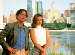 Doug (Michael J. Fox) ist rettungslos in Andy (Gabrielle Anwar) verliebt. Nun ist guter Rat teuer: Soll er seinen Gef&uuml;hlen folgen und damit seinen Traum aufgeben? Oder soll er die Liebe seines Lebens vergessen, um Hausherr in seinem Hotel zu werden?