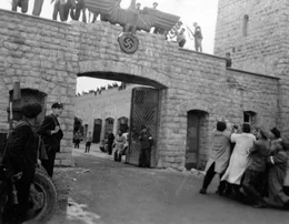 Konzentrationslager Mauthausen  Die Verwendung des sendungsbezogenen Materials ist nur mit dem Hinweis und Verlinkung auf RTL+ gestattet.