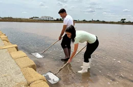 Serena Loddo besucht die Saline von Trapani.