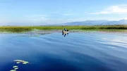 Der Skutarisee ist ein bedrohtes Paradies f&uuml;r Wasserv&ouml;gel.