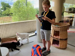 Im Tierheim in Berlin gibt es ein au&szlig;ergew&ouml;hnliches Projekt: Kinder lesen Katzen vor. Eine "win-win-Situation" f&uuml;r beide Seiten.