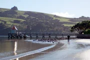 Die Schriftstellerin Janet Frame suchte am Strand Zuflucht vor den Zw&auml;ngen des st&auml;dtischen Lebens in Dunedin.