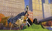 Der L&ouml;we Alex, das Zebra Marty, die Giraffe Melman und das Nilpferd Gloria aus dem New Yorker Central Park Zoo sind die besten Freunde. Doch Marty sehnt sich nach einem Leben in Freiheit. Eines Tages schlie&szlig;t er sich dem Fluchtunternehmen der Pinguine an ...