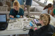Die Arch&auml;ologiestudentinnen Fionna Miller und Alexandria Hormozi analysieren und katalogisieren Knochenfragmente, die in der Nekropole von San Paolo in Rom in Urnen gefunden wurden (Marina Marcelli und Cristina Carta im Hintergrund).