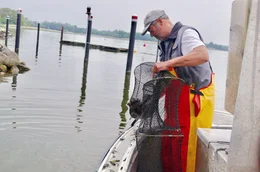 Als einer der letzten Schleifischer geht J&ouml;rn Ross in Schleswig auf Fangfahrt.