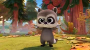 Baby Raccoon