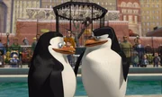 Private und Skipper
