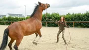 Sandra Schneider und Pferd Luna