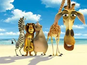 L-R:Marty, Alex, Gloria und Melman.