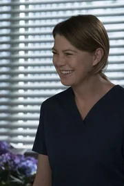 W&auml;hrend Meredith (Ellen Pompeo) alles daransetzt, Owens Schwester zu heilen, offenbart diese ein erstaunliches Geheimnis ...