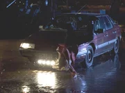 ARD MANKELLS WALLANDER - BILDERR&Auml;TSEL, "fotografen", am Freitag (22.03.13) um 23:30 Uhr im ERSTEN. Die Amerikanerin Sarah Lyelll (Maria Tornberg) wird &uuml;berfahren.