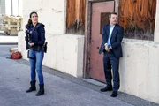 Daniela Ruah (Special Agent Kensi Blye) and Chris O'Donnell (Special Agent G. Callen).