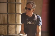 Wird von einer seiner Agentinnen bitter enttäuscht: Special Agent Pride (Scott Bakula) ... Wird von einer seiner Agentinnen bitter enttäuscht: Special Agent Pride (Scott Bakula) ...