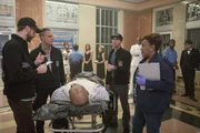 Pride (Scott Bakula, M.) hat eine interessante Theorie. Er glaubt, dass ein Zusammenhang zwischen den illegalen Aktivitäten in Clearwater und dem Bürgermeister besteht. Kann er seine Kollegen Lund (Rob Kerkovich, l.), LaSalle (Lucas Black, 2.v.r.) und Wade (CCH Pounder, r.) davon überzeugen? Pride (Scott Bakula, M.) hat eine interessante Theorie. Er glaubt, dass ein Zusammenhang zwischen den illegalen Aktivitäten in Clearwater und dem Bürgermeister besteht. Kann er seine Kollegen Lund (Rob Kerkovich, l.), LaSalle (Lucas Black, 2.v.r.) und Wade (CCH Pounder, r.) davon überzeugen?