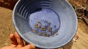 A pan of gold