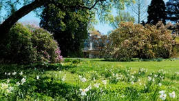 Schau- und Sichtungsgarten Hermannshof e. V. in Weinheim / Schau- und Sichtungsgarten Hermannshof e. V. in Weinheim / Bergstra&szlig;e.