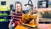 Nina darf selbst ein Aquarium f&uuml;r Zwerggarnelen einrichten. Dabei lernt sie, worauf man bei der Haltung der kleinen Krebstiere achten muss.