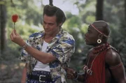 Tierdetektiv Ace Ventura (Jim Carrey) soll im tiefsten Afrika eine entf&uuml;hrte Albino-Fledermaus auftreiben.