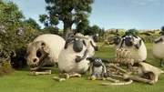 Shaun das Schaf Ausgrabungen 1; &copy; WDR/Aardman Animation Ltd./BBC - Honorarfreie Verwendung gem&auml;&szlig; AGB im engen inhaltlichen redaktionellen Zusammenhang mit genannter Sendung bei Nennung "Bild: WDR/Aardman Animation Ltd./BBC". Andere Verwendung nur nach Absprache. KiKA Marketing & Kommunikation Tel.: 0361/218-1826 mail: bildredaktion@kika.de