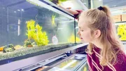 Zwerggarnelen sind nicht nur klein, sondern auch flink. Vorsichtig f&auml;ngt Nina ein Jungtier aus dem gro&szlig;en Aquarium.