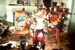 Ace Ventura (Jim Carrey) ist der beste Haustierdetektiv, den man finden kann - und der einzige noch dazu.
