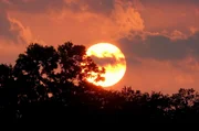 Sonnenuntergang an den Ufern des S&uuml;&szlig;wassersees Andong in S&uuml;dkorea, neu eroberter Lebensraum der Zwergseeschwalbe