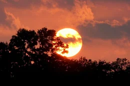 Sonnenuntergang an den Ufern des S&uuml;&szlig;wassersees Andong in S&uuml;dkorea, neu eroberter Lebensraum der Zwergseeschwalbe