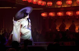 Eine m&auml;rchenhafte Karriere: Aus der kleinen Fischertochter Chiyo (Ziyi Zhang) wird eine der ber&uuml;hmtesten Geishas Japans - nach einem harten und steinigen Weg voller Tr&auml;nen und Entbehrungen, voller Intrigen und Boshaftigkeiten, aber auch voller Liebe ...