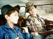 Gemeinsam mit ihrem Hund Boomer wollen Harvey (Jim Edgcomb, r.) und Larry (Matt Norero, l.) einen Campingurlaub machen. Gemeinsam mit ihrem Hund Boomer wollen Harvey (Jim Edgcomb, r.) und Larry (Matt Norero, l.) einen Campingurlaub machen.