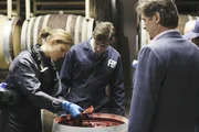 BONES: Brennan (Emily Deschanel, L) fishes parts of a decomposed body out of a wine cask at a vineyard in the BONES episode "The Critic in the Cabernet". Also pictured: David Greenman (C) and Jeff Yagher (R). Cr: Richard Foreman/FOX Bones_IV_25_01