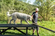 Martina Albrecht beim Hundetraining auf dem Windberghof im Schwarzwald.