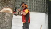 Eddy Bialdyga hält eine Kettensäge in der Hand und sticht diese in den Baum. Eddy Bialdyga hält eine Kettensäge in der Hand und sticht diese in den Baum.
