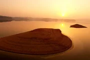 Zwergseeschwalben bauen ihre Nester auf zwei kleinen Sandinseln mitten im See, der ausreichend Nahrung und Schutz vor vielen Fressfeinden bietet.
