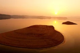 Zwergseeschwalben bauen ihre Nester auf zwei kleinen Sandinseln mitten im See, der ausreichend Nahrung und Schutz vor vielen Fressfeinden bietet.