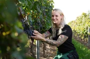 Winzerin Shanna Reis bei der Handlese im &auml;ltesten Weinberg in Aspisheim/Rheinhessen.