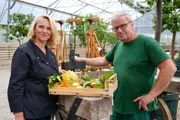 Margit Stolzenlechner und Zitronenspezialist Heimo Karner in Sch&ouml;nbrunn.