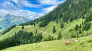 Das Tal der Almen.