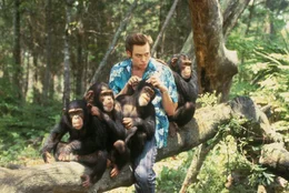 Ace Ventura (Jim Carrey) in seinem lausigen Element.