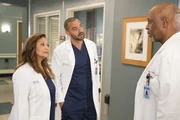 Eine besondere OP wartet auf Catherine (Debbie Allen, l.), Jackson (Jesse Williams, M.) und Richard (James Pickens Jr., r.) ...