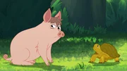 Das Schwein Ronnie ist traurig, denn es weiß nicht wohin, nachdem es ausgesetzt wurde. Törtel versucht zu helfen. Das Schwein Ronnie ist traurig, denn es weiß nicht wohin, nachdem es ausgesetzt wurde. Törtel versucht zu helfen.